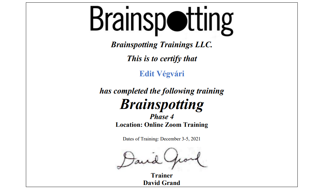 Reporting from Brainspotting Phase 4 with David Grand 3-5th December, 2021, New York