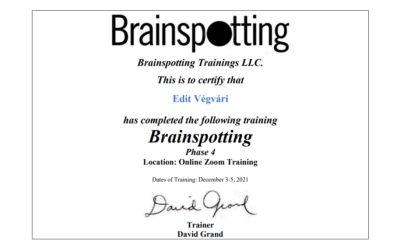 Reporting from Brainspotting Phase 4 with David Grand 3-5th December, 2021, New York