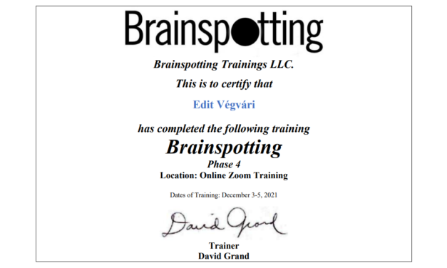 Reporting from Brainspotting Phase 4 with David Grand 3-5th December, 2021, New York